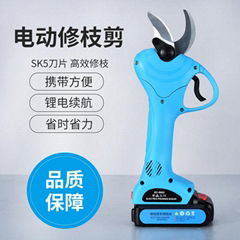 Lithium Cordless Branches Scissors