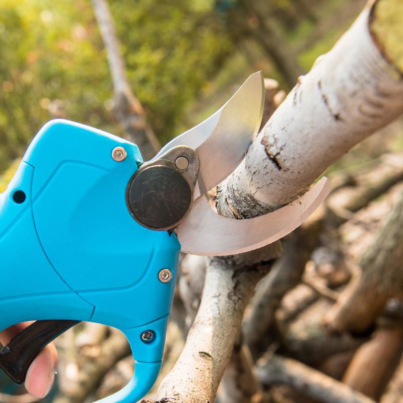 Tree branches powered pruning shears 3