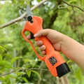 Professional lithium pruning shears