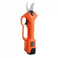 Professional lithium pruning shears