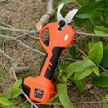 electric shears pruning 5