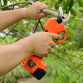 electric shears pruning