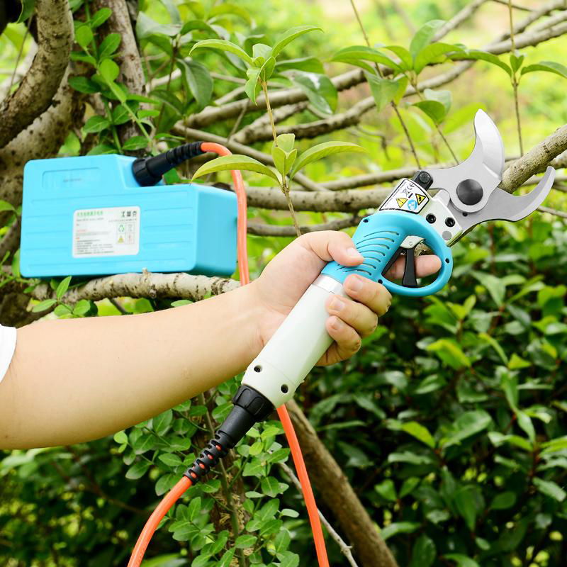 Tree pruning shears electric 2