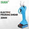 Pruning shears electric portable 1