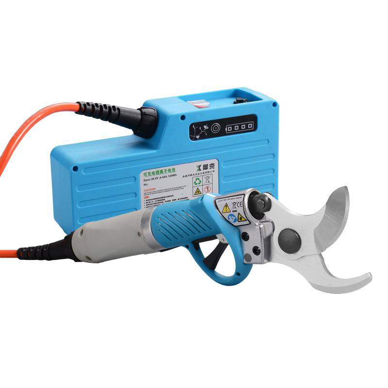 Cordless rechargeable power pruner