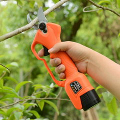 Electric pruner with pole