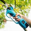 Electric pruner with pole