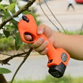 Garden scissors electric 2