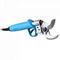 Best electric pruner 1