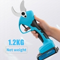 Battery hand pruner 1