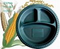 Eco-friendly Biodegradable Disposable Cornstarch 10inch plate