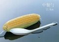 Eco-friendly Biodegradable Disposable Cornstarch Chinese Spoon  2