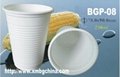 Eco-friendly Biodegradable Disposable Cornstarch cup 250ml 2