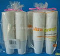 Eco-friendly Biodegradable Disposable Cornstarch cup 250ml 5