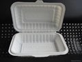 Eco-friendly Biodegradable Disposable Cornstarch 600ml lunch box 
