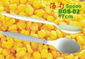 Biodegradable cornstarch eco-friendly cutlry spoon