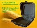 Biodegradable Compostable Cornstarch Eco-friendly Disposable lunch box