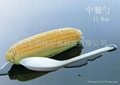 綠色環保一次性玉米澱粉可降解可堆肥刀叉勺