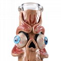 Unique Heady Glass Bongs Eye 3D Hookahs Water Pipes 5