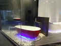 Best Selling Fashionable Solid Surface Bathtub BS-8608  8