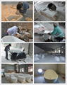 Foshan Basin Factory,  Beautiful  Stone Resin Basin, Sink BS-8304 5