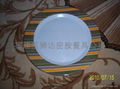 melamine Plate 4