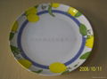 melamine Plate 1