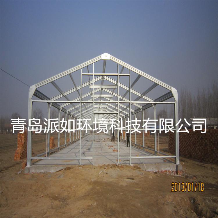 青島派如承建鋼結構雞舍 2