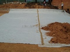 隆尧天然钠基膨润土防水毯