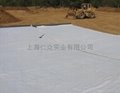 河北天然钠基膨润土防水毯专业供应 2