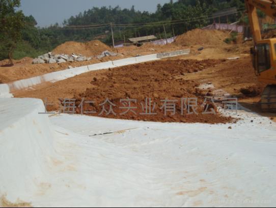 河北天然鈉基膨潤土防水毯專業供應 4