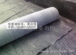南京/無錫鈉基膨潤土防水毯專業供應 5