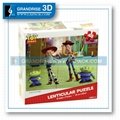 China 3D Lenticular Box 3D Images Display Box Lenticular Printing in Grandrise 3