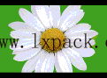 Sell 3d Lenticular Bookmark 3D Bookmark Motion Bookmark 2