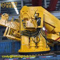 Remote Control Folding Marine Crane for Ship/Boat