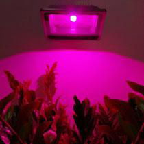 24W PAR38 Led Grow Lights 2