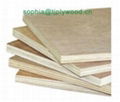 Commercial Plywood 1