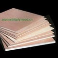 Commercial Plywood 5