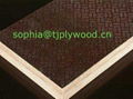 construction plywood