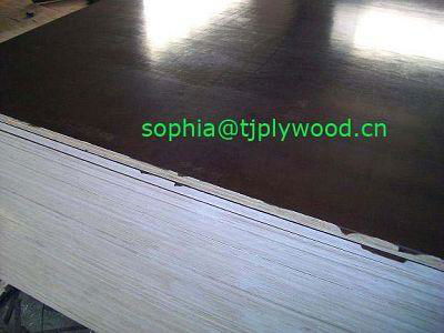 shutting plywood 2