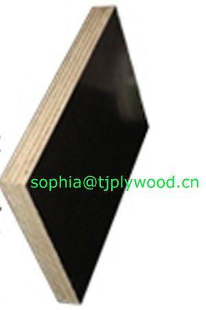 black film faced plywood 4