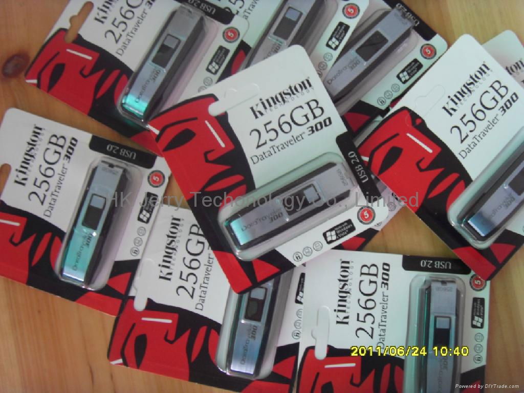 The most Competitive Kingston Datatraveler 300 256GB - USB Flash Drive 2