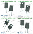 TO-220 Power Resistor 1