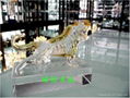 Crystal Tiger Crystal animal Crystal Golden Tiger