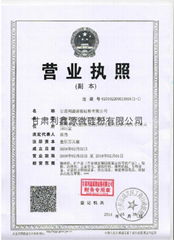 Gansu Lixinyuan Mircosilica Co.,Ltd