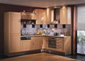 pvc kitchen cabinet 1