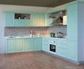 pvc kitchen cabinet 3