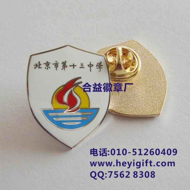 School badge pin 2