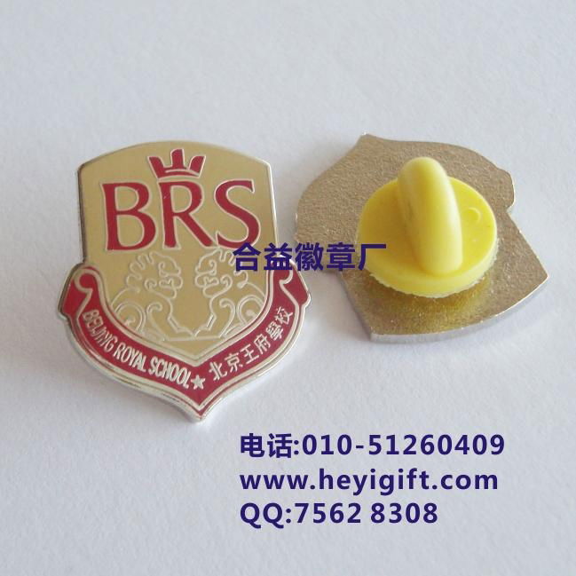 School badge pin 3