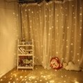 LED curtain christmas light 4